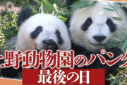 最後の「パンダ」、上野動物園を出発。54年ぶりに0頭へ