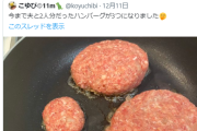 幸せいっぱい女さん「ハンバーグが一つ増えました」不幸せいっぱい女さん「！！！！」