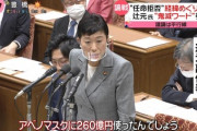 【悲報】鬼滅の刃引用に野党が便乗、辻元「私は何も間違えない。全ての決定権は私にあり私の言う事は絶対だ（鬼舞辻」玉木「全集中の呼吸」