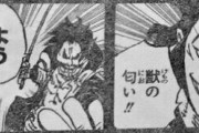 【ワンピース】海賊王ロジャーさん、普通に作中最強だった！！！！！！！！！