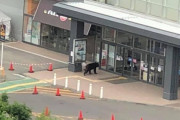 札幌のイオンに熊出現
