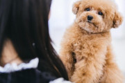 【犬報】犬を飼った方が認知症を抑えられるという論文が出る