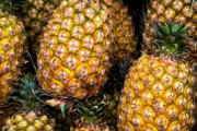 海外「中国が台湾産パイナップルに禁輸措置。日本は台湾を支持し6000トンを注文」