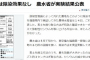 日本が植えた放射性元素除染のひまわり『品種』が原因で効果が無かった