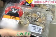 【怪奇】中国産アサリ、わずか1ヶ月で国内シェア圧倒的1位の座に躍り出る【現象】