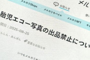 【地獄】メルカリは何でも売ってて怖いね