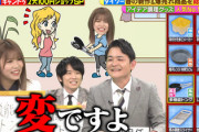 【櫻坂46】武元唯衣、海外留学していた！そこでの変な行動がこちらw【林修のニッポンドリル】