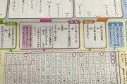 【画像】小学校の「読書感想文」、とんでもないことになってた…