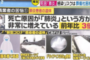【社会】火葬なので“45万円”です　コロナ死者の遺族を悩ませる「高額請求問題」とは　100万円請求した業者も  [あずささん★]