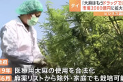 アジアで初“大麻解禁”のタイ 医療目的に限定も中毒者が急増