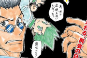 『ハンターハンター』信者ワイ、休載前の展開を覚えてない