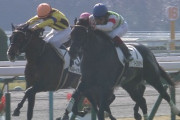 【競馬】エピファネイア、リオンディーズの弟グローブシアターは川田将雅騎手とのコンビで弥生賞へ