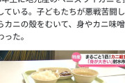 【画像】今の小学生ってこんな給食を食ってんのかよ…