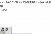 山岸りこりこ、事務所に苦言「グッズ見ました？私卒業するみたいになっててびっくりしました」