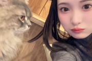 【≒JOY #山野愛月】あにゃん、猫カフェに行く😽