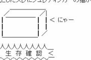 【酷すぎ】女（30）「猫もらったけど飼うの家族に反対されてしもたわ。どうしよう・・・せや！」
