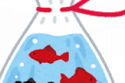 ど田舎から東京へ！子どもが大事にしてる金魚の引越し方法が酷いwwwww