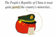 【中国】少数民族への意見【ポーランドボール】