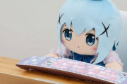 ワイ「ち、チノちゃん！発信者情報開示請求しまくらないで！」　チノ「うるさいですね……」