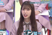 ひな会いのテロップ、annkw聞いてないと意味わからんネタが多過ぎる件…【日向坂46】