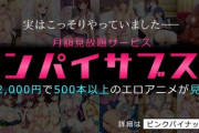 【月額2000円】アダルトアニメ制作・ピンクパイナップル「世間ではサブスクとやらが流行っておりますが、ウチは15年前からやってますよ！」