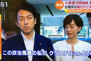 小泉進次郎(38)、環境大臣←これを叩く日本