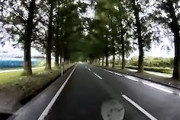 【事故】滋賀県のメタセコイア並木倒木の瞬間がドライブレコーダーに記録されていた。