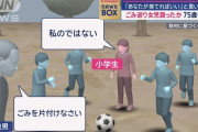公園老人｢これ君たちのゴミ？｣子供｢違う｣老人｢違っても拾ってゴミ箱に捨てなさい｣女児「だったらあなたが捨てればいい」老人が女子児童の顔を殴り逮捕