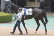 【競馬予想】第43回新潟2歳ステークス(GⅢ) /2023