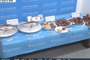 韓国産に変身した日本の水産物…8つの飲食店で原産地偽装、2トン摘発＝韓国の反応