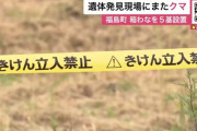 【北海道】新聞配達員を食い殺したヒグマ、事件現場にまた現れる