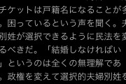 戸籍と名前違うってどんな人なんですかね？　～　福島瑞穂「パスポートのICチップには戸籍名しか入っていないため困るという声を聞く」←何の問題が？
