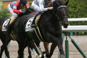 マイラプソディは横山典弘でダービーへ！　なお、武豊はサトノフラッグに騎乗
