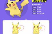 ポケモンで「これ、ガチでいらなかっただろ…」って思った要素挙げてけ