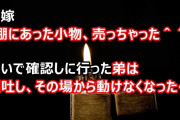 弟嫁「あれ、売っちゃった＾＾」弟「あれって？」弟嫁「棚にあった小物」弟、ダッシュ！→膝から崩れ落ちて、微動だにしなくなった…