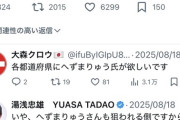 【悲報】日本会議さん、自警団を作る参政党にブチギレwwwwwww