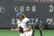 日本ハム・ポンセ　今季5人目ノーヒットノーラン！