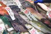 三大・煽り抜きで刺身でも焼き魚でも旨い魚