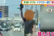【大阪】パワー系のヤベーヤツ、ドアミラーもぎ取り“雄叫び”を上げる