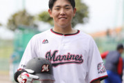 安田尚憲 打率.230(100-23) 本塁打5(リーグ2位) 打点28(リーグ1位)←こいつ