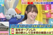 【櫻坂46】れなぁ、オードリー春日さんが言いそうなボケをかますw【ラヴィット】