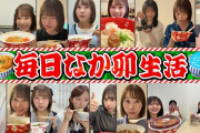 【動画】【12日連続】ひなた坂ライブまで、毎日「なか卯」生活やってみた！