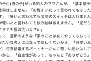 【正論】最近の母親「息子の為の家事はしない。モラハラ糞オスになってほしくないから」パシャ
