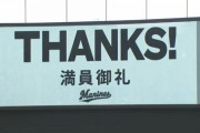 プロ野球、本日の観客動員数もすごすぎるwww
