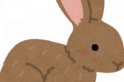 【画像】「ウサギお触り一覧表」がこちらｗｗｗｗｗ