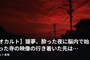 【オカルト】猿夢、酔った夜に脳内で始まった寺の映像の行き着いた先は…