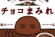 カントリーマアムのチョコまみれウマ過ぎワロタｗｗｗ