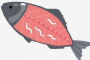 僕「アニサキスってきもいよな、缶詰とかに入ってたりすんのかな」検索