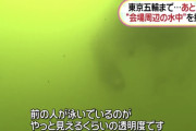 【東京湾】トライアスロン、選手団が続々と嘔吐していたことが判明WWlWWlWWlWWlWWlWWlWWlWWlWWlWWlWWl