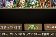 【パズドラ】マジレスするけどなんでお前ら野良マルチで文句言ってんの？それなら全開放部屋でやれよ